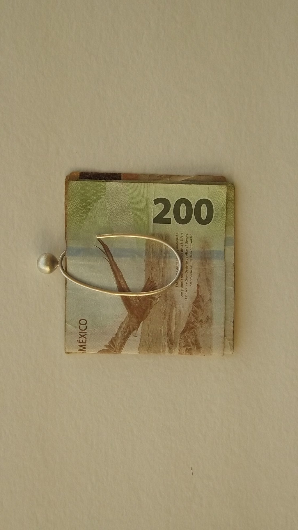 book / money clip
