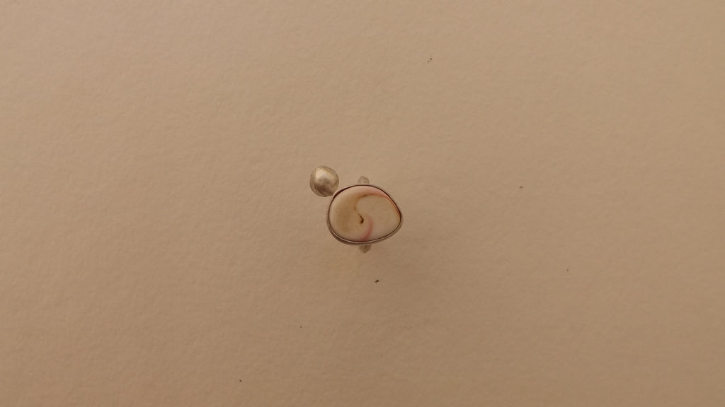 anillo queen conch shell