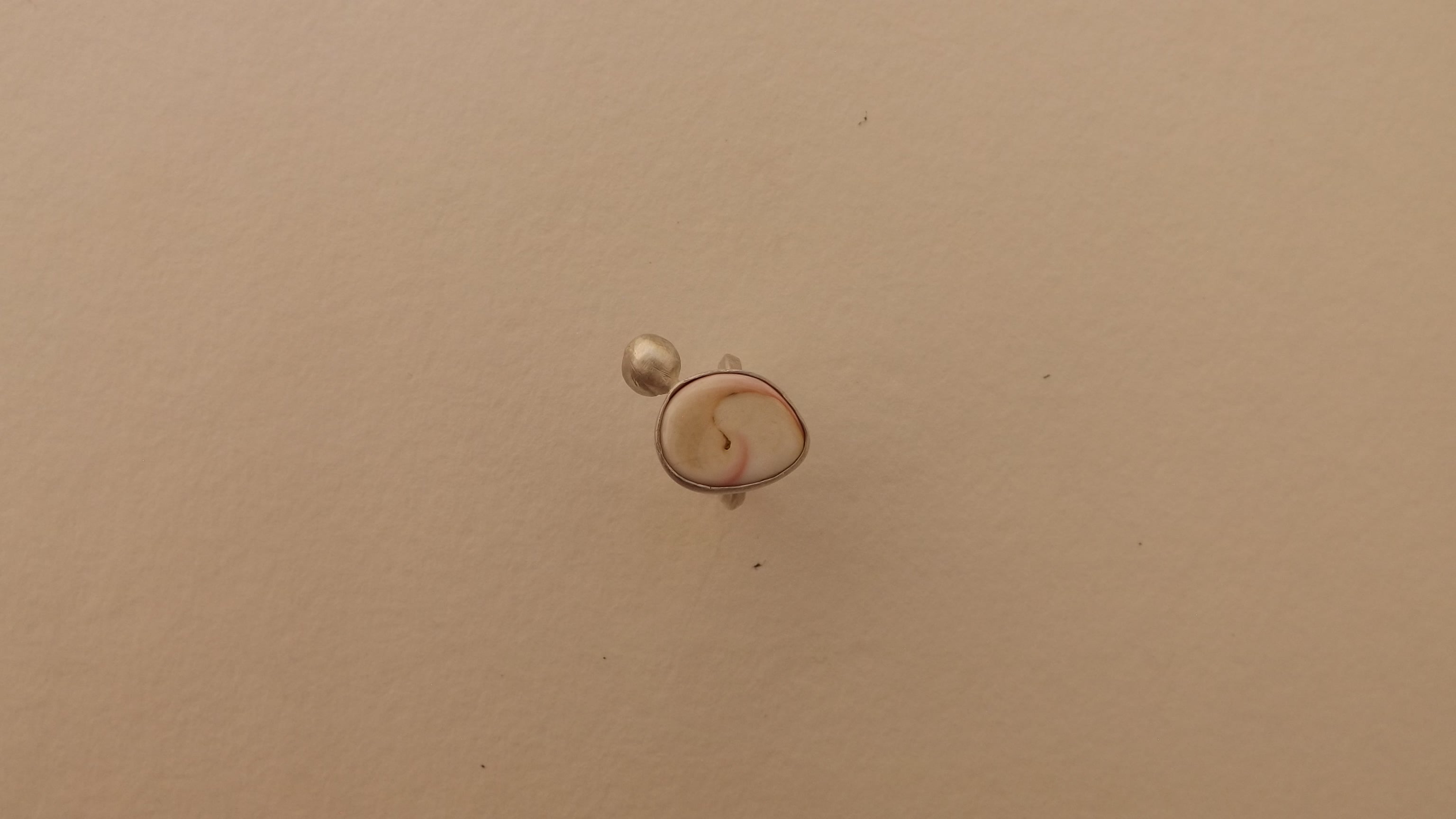 anillo queen conch shell