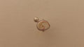 anillo queen conch shell