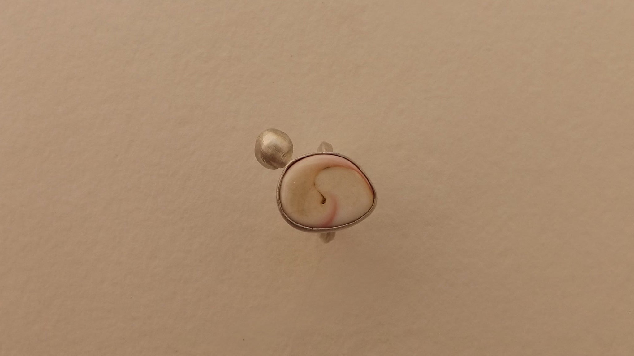 anillo queen conch shell