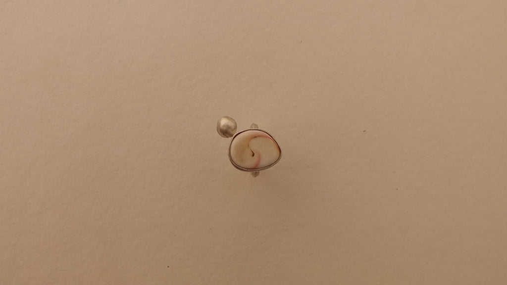 anillo queen conch shell
