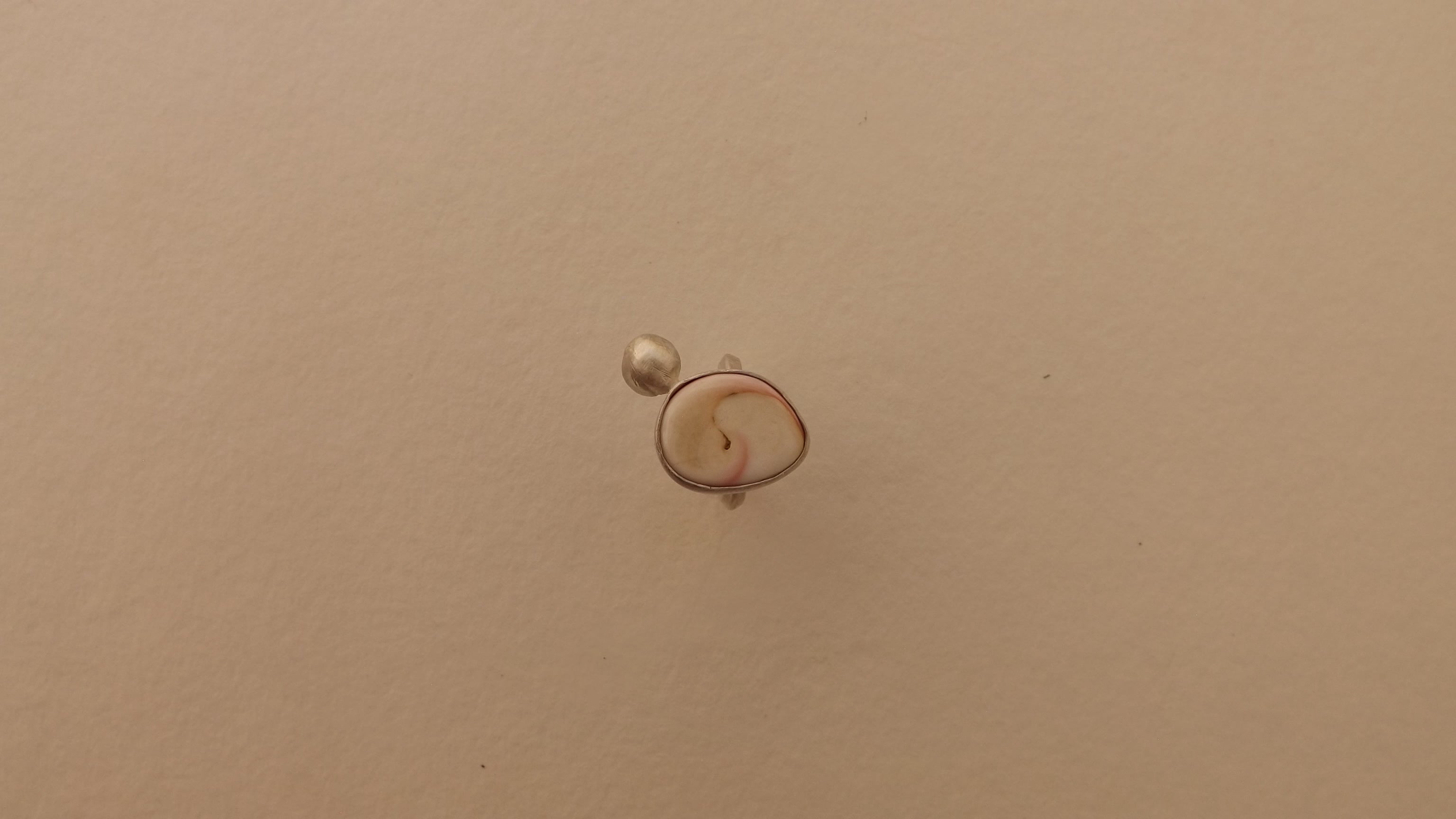 anillo queen conch shell